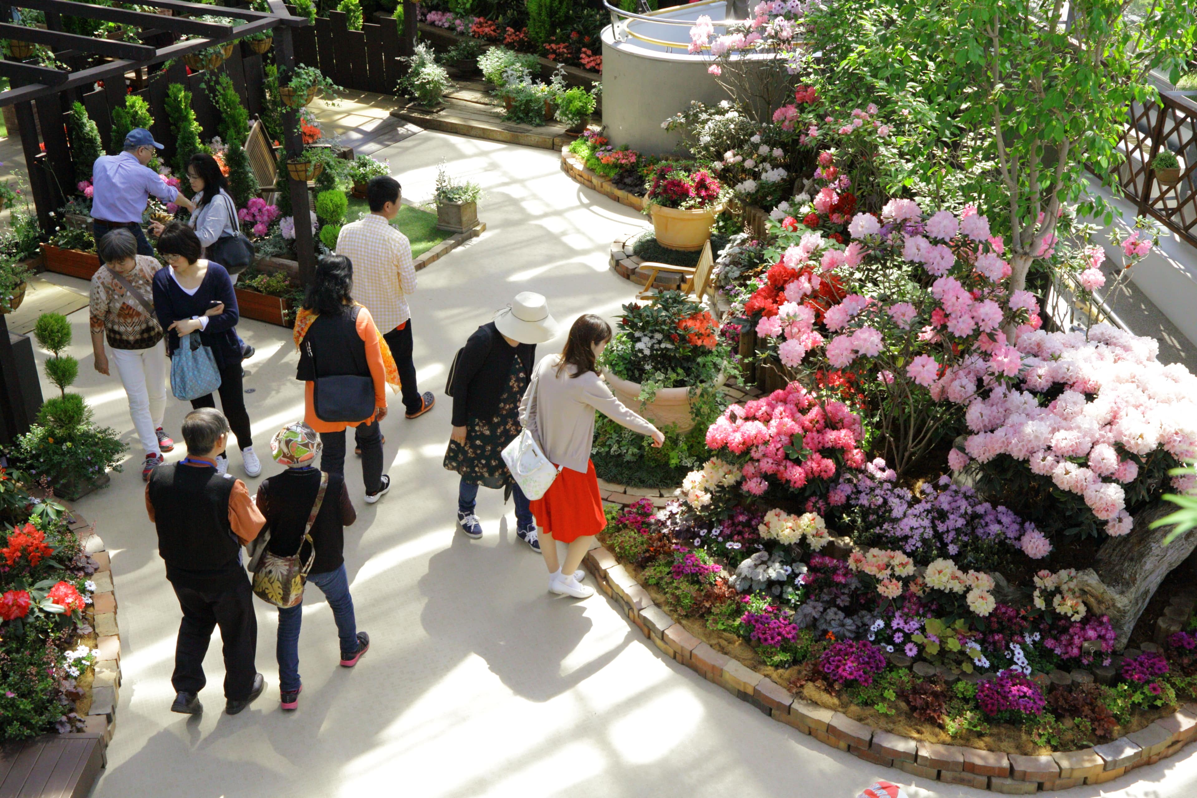 展示 講座 イベント 新潟県立植物園