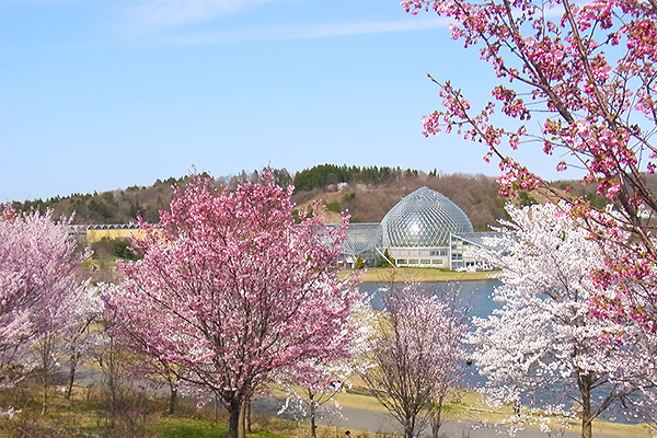 県立植物園が目指す植物園像 県立植物園について 新潟県立植物園
