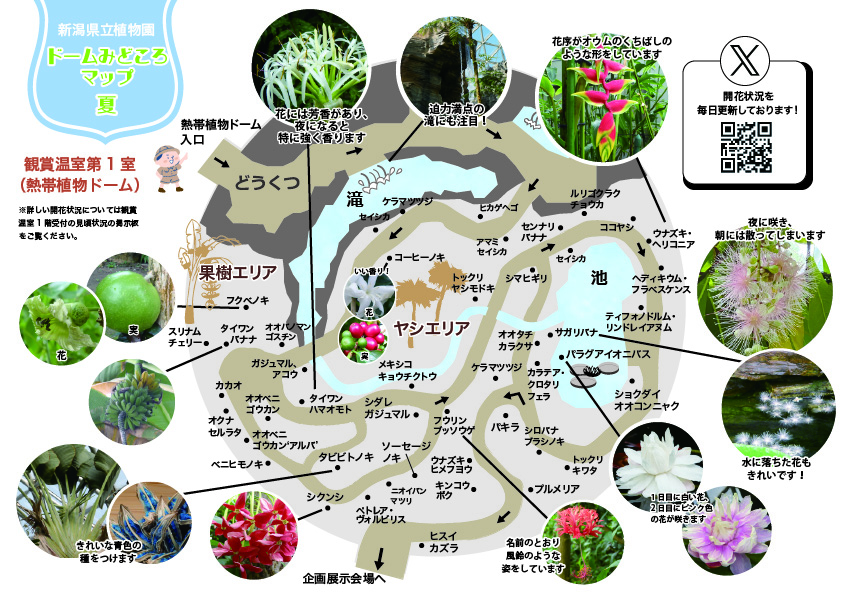 温室みどころマップ