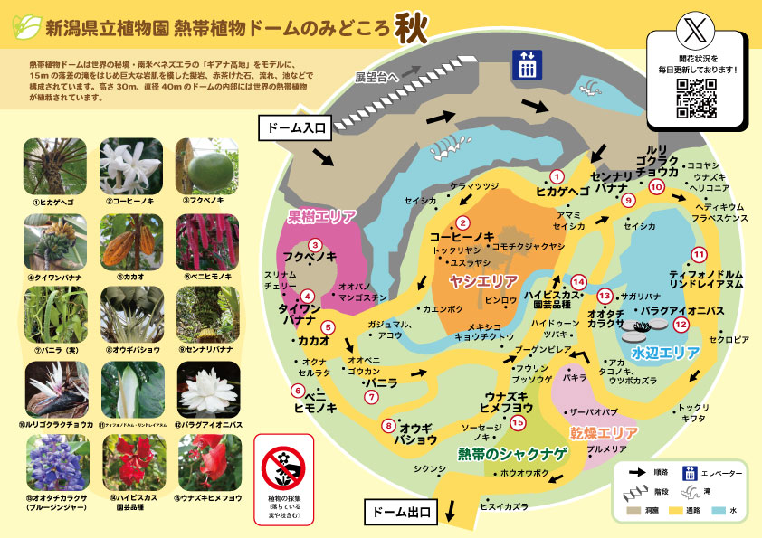 温室みどころマップ