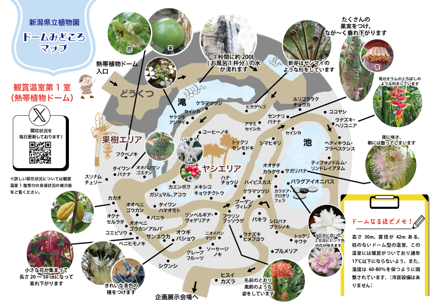 温室みどころマップ