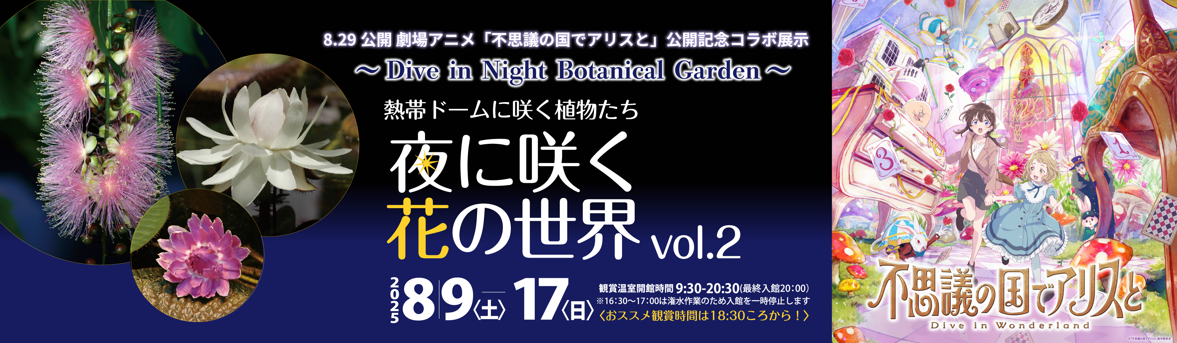 企画展示「夜に咲く花」