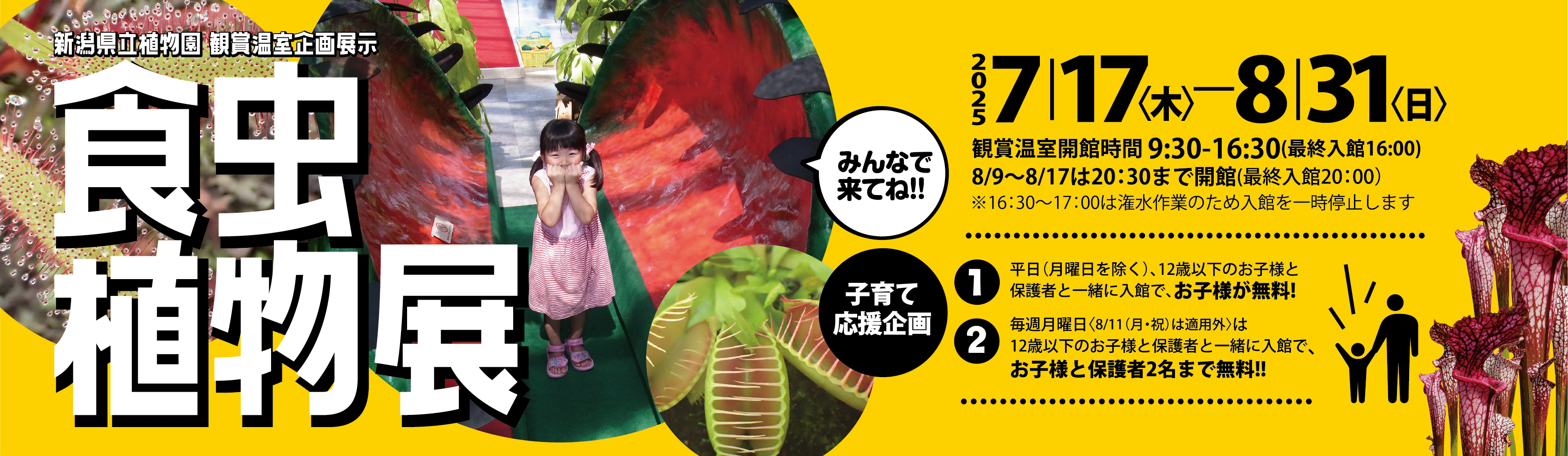 企画展示「食虫植物」