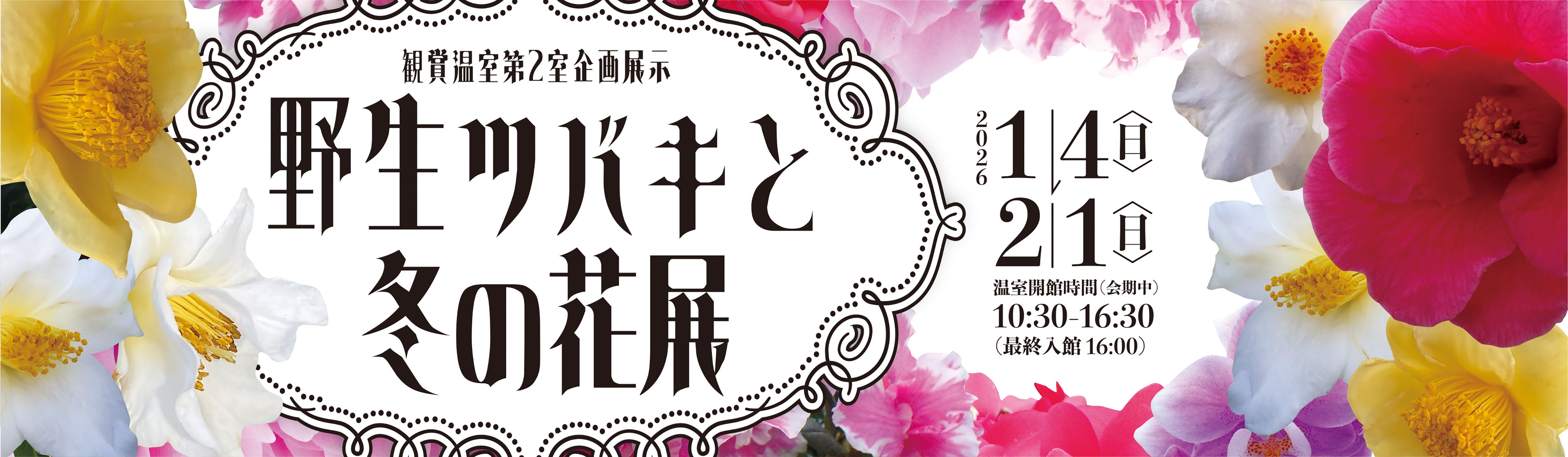 企画展示「野生ツバキと冬の花展」