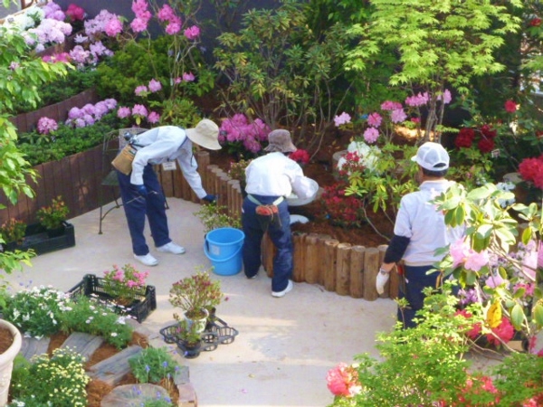 求人のお知らせ 新潟県立植物園