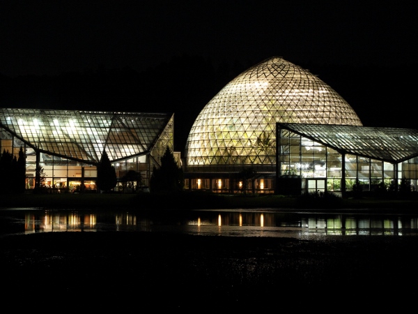 夜の植物園まつり 展示 講座 イベント 新潟県立植物園