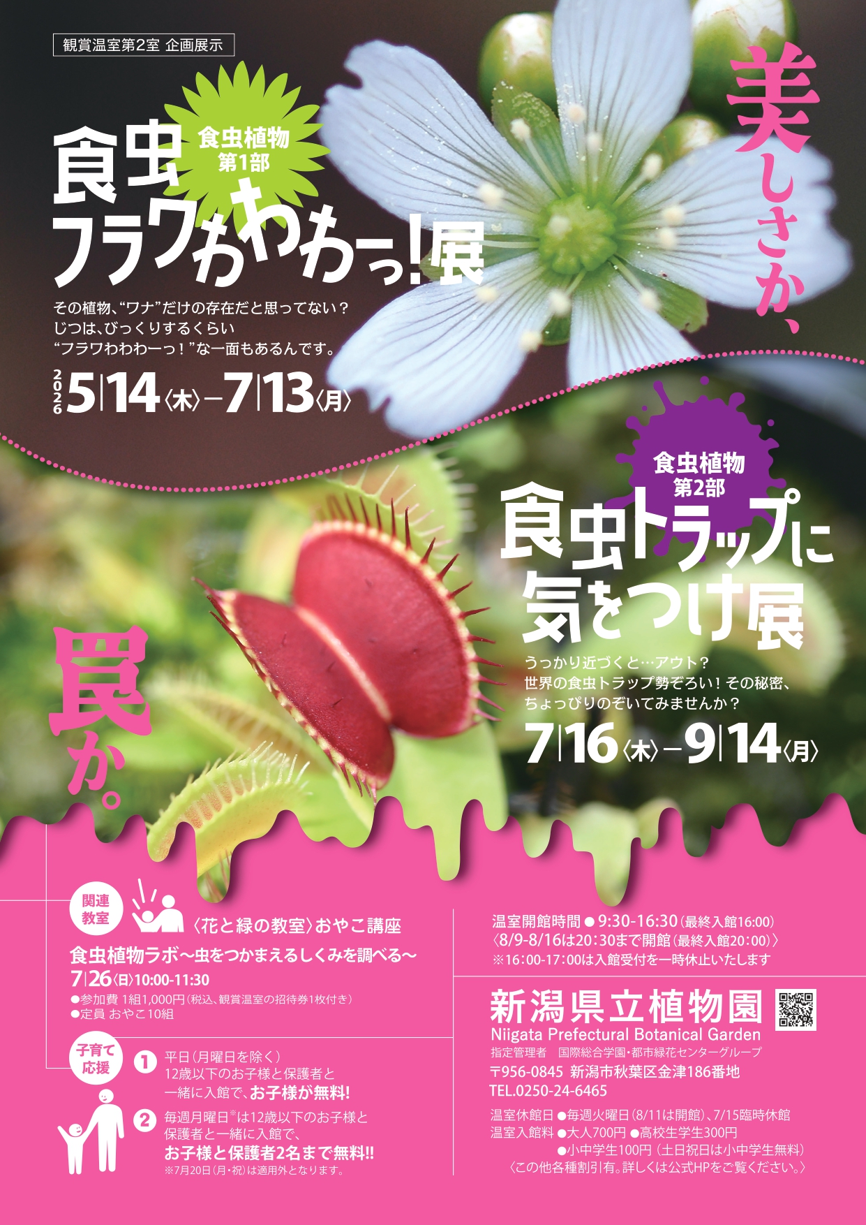 企画展示「食虫植物 第1部 食虫フラワわわわーっ！展」｜展示・講座