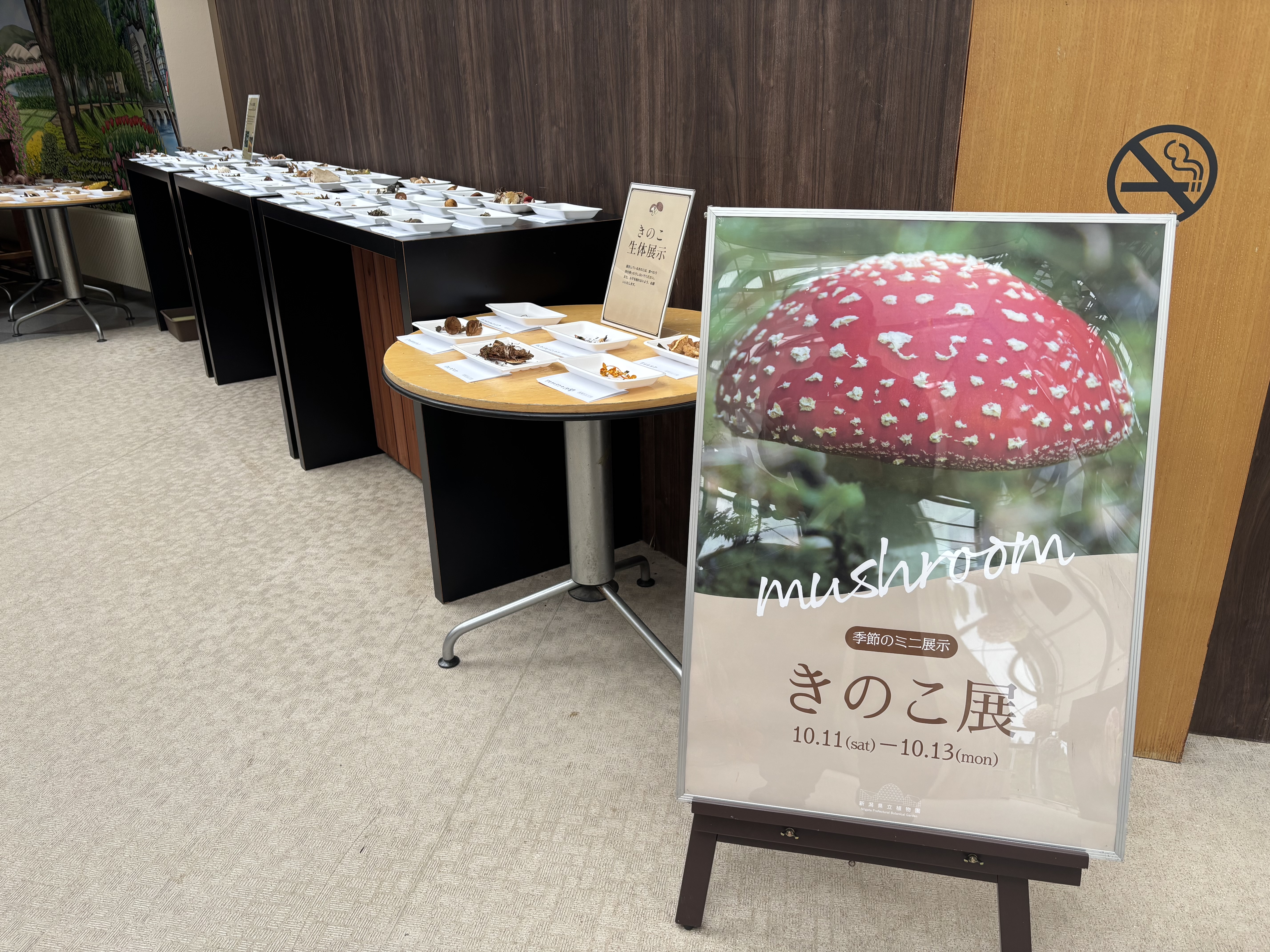 きのこ展、始まりました！！【終了しました】｜新潟県立植物園